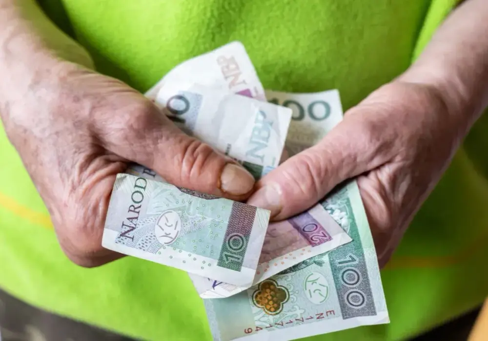 Ile wynosi renta? Stawki, limity i zasady wypłaty