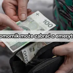 Dwie dłonie wkładają banknoty 100 zł do portfela. Pytanie brzmi: ile komornik może zabrać z emerytury?